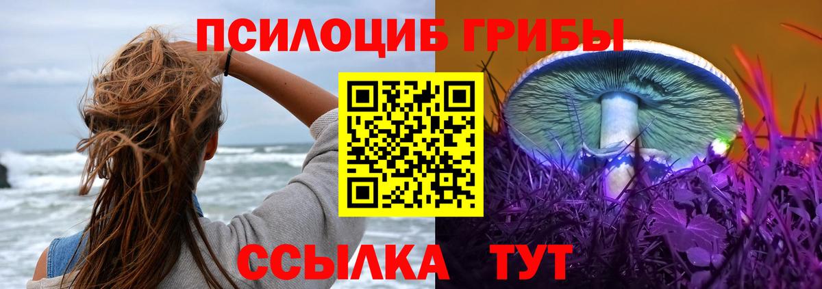 Нягань  Псилоцибиновые грибы GOLDEN TEACHER  Вход с VPN 